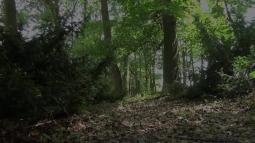 Lost in Forest screen cap #1
