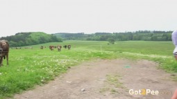 The Cows Watch On screen cap #17