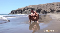 Topless On The Beach screen cap #2